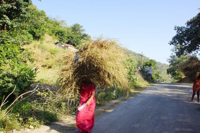 Urlaub in Indien 2016